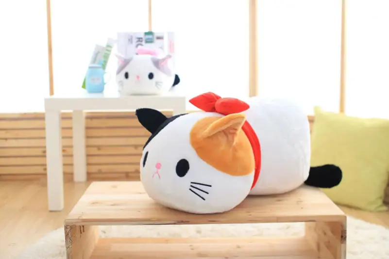  Cat Toy for kids
