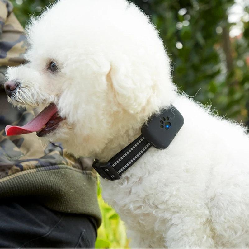 

Dog Pet GPS Tracker with Google Map Software Access Mini GPS Tracker SOS emergency button for children and elderly, patient