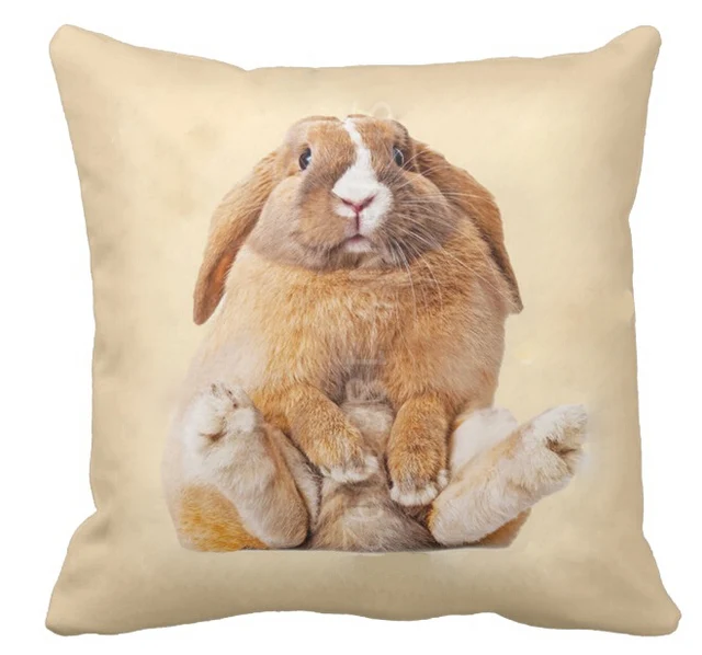 rabbit throw pillow