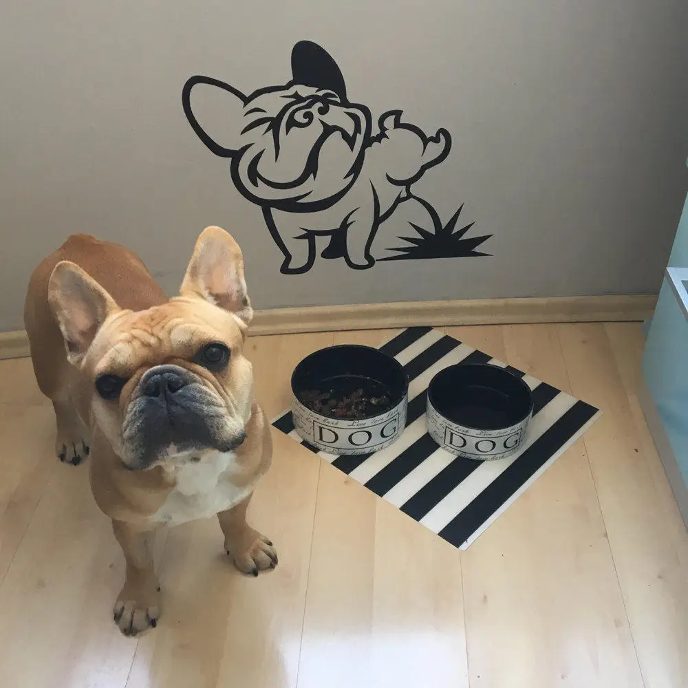 

Dog Decal Pissing French Bulldog Vinyl Wall Stickers Home Decor Living Room Removable Art Decal Mural for Wall Window Glass D670
