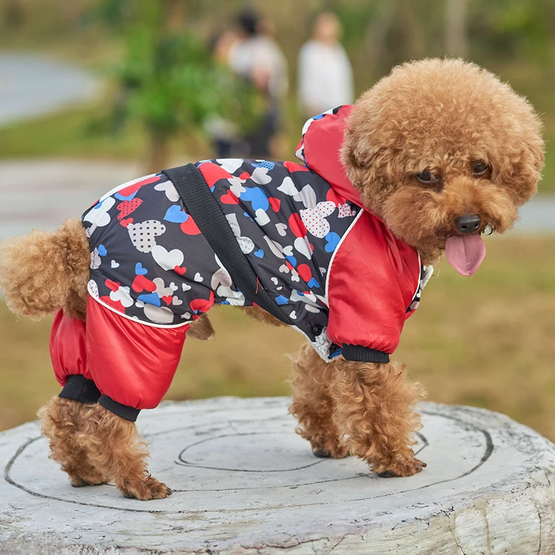 DOGGYZSTYLE, ветрозащитный комбинезон для собак, зимняя одежда для собак, теплое пальто для собак, куртка для маленьких собак, одежда для щенков, комбинезон с изображением кошки