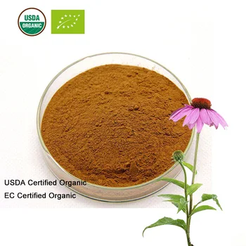 

USDA and EC Certified Organic Echinacea Purpurea Extract 10:1
