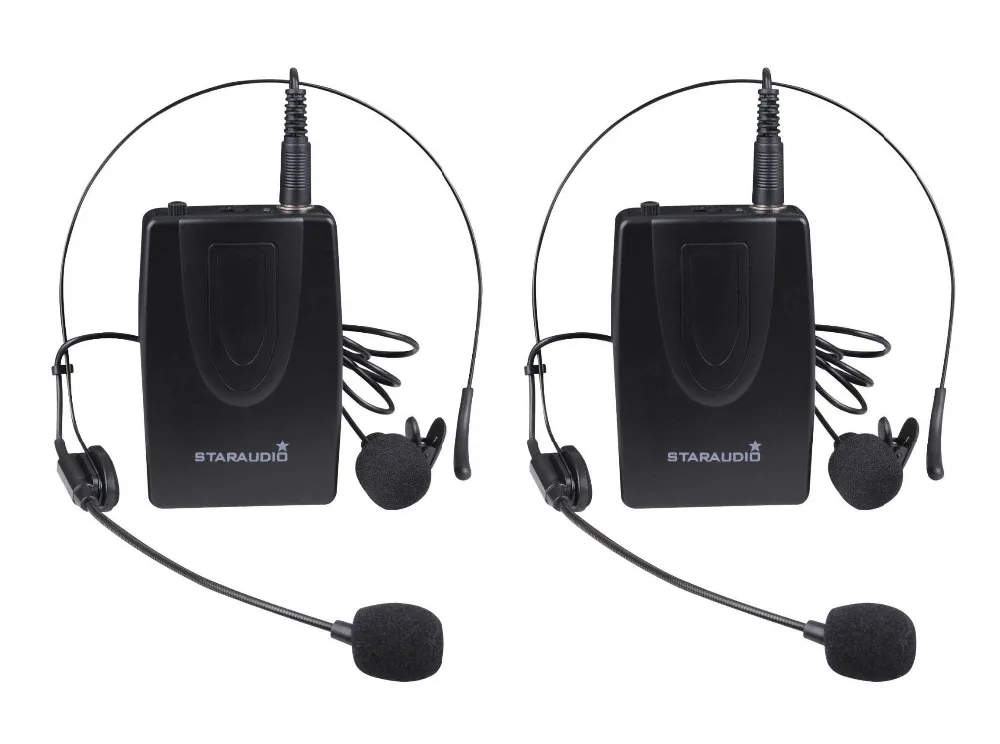 dual channel mic