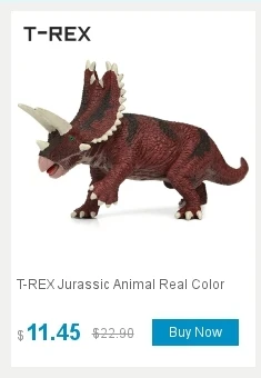 dianxiaobao