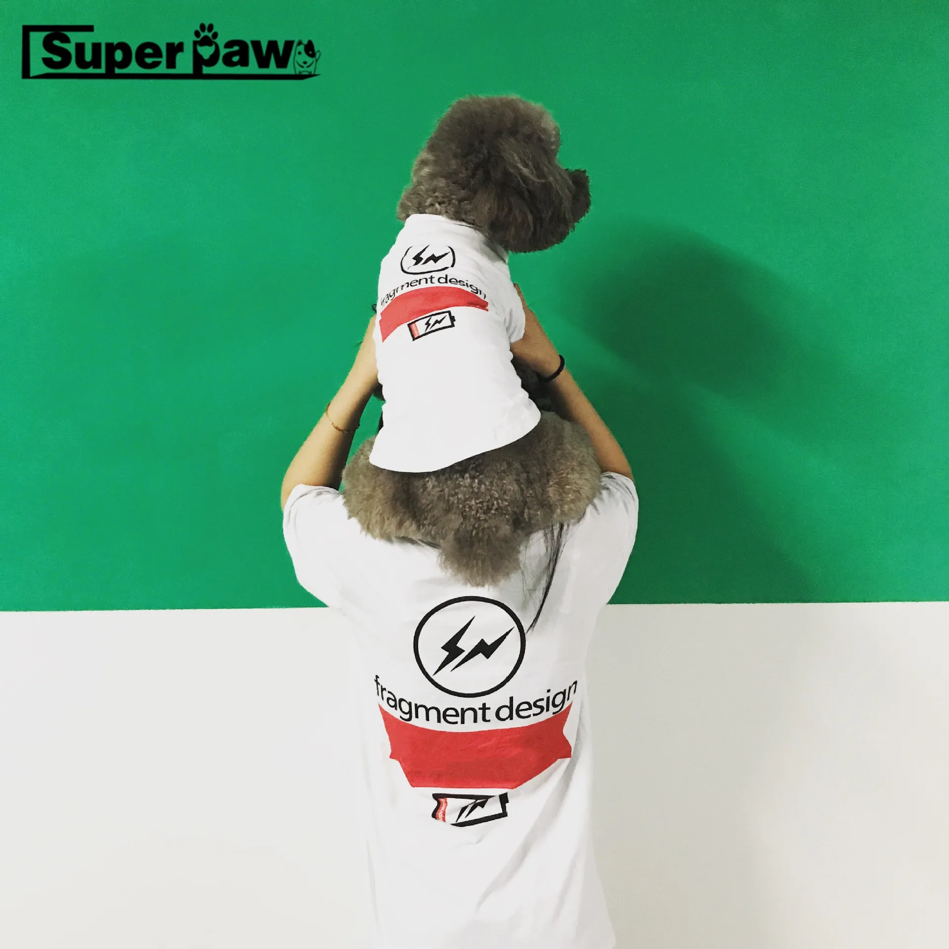 

Tide Brand Dog Summer T-shirt Vest for Small Medium Dogs Yorkshire Teddy Pug Parent-Child Outfit Pet Clothes Puppy Costume YBC01
