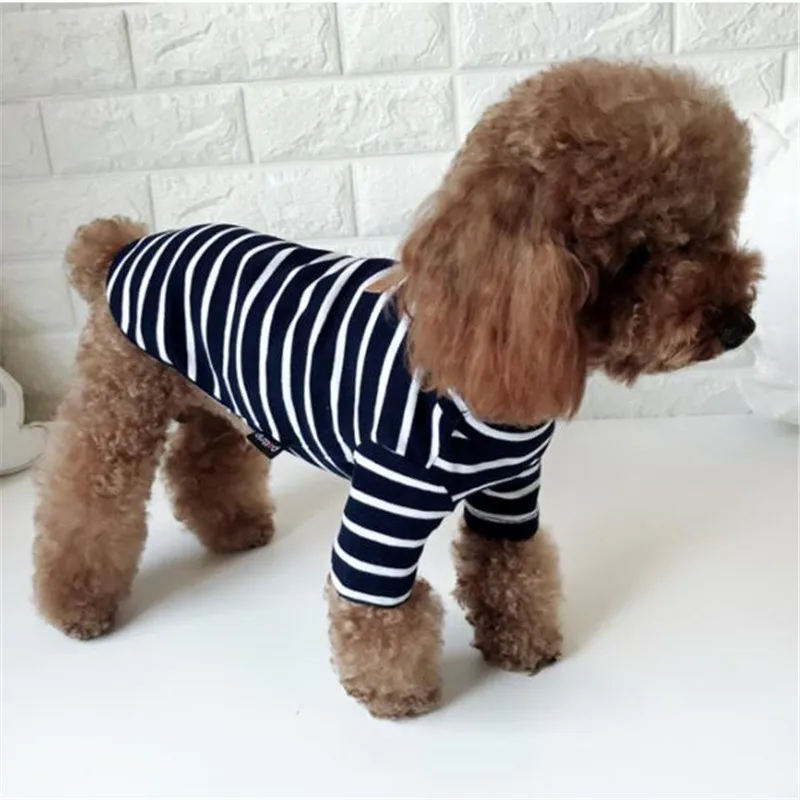 QQ20190318204923