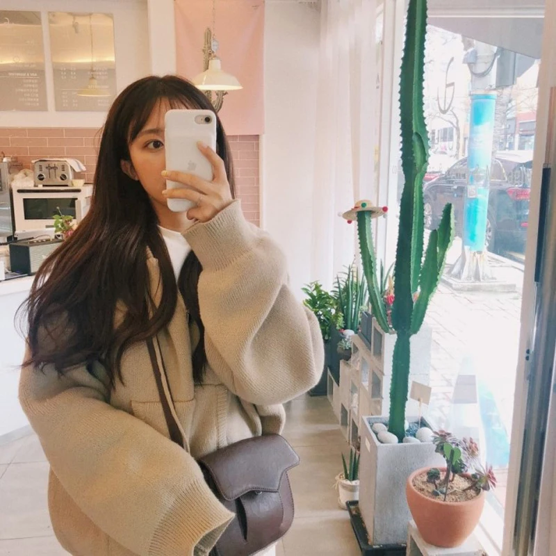 2019 New Cashmere Sweater Autumn Winter Korean Cardigan Girl Hooded Zippers Loose Oversize Cardigan Thick Clothes Women Jacket 2019 New Cashmere Sweater Autumn Winter Korean Cardigan Girl Hooded Zippers Loose Oversize Cardigan Thick Clothes Women Jacket