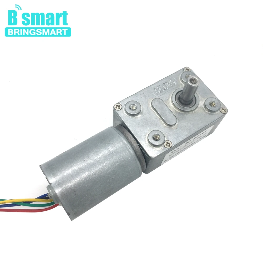

Bringsmart DC Brushless Motor Worm Gear 1.8-60kg.cm Self-lock 12V 24V Motor High Torque Reversible CW CCW For Toys JGY-2838