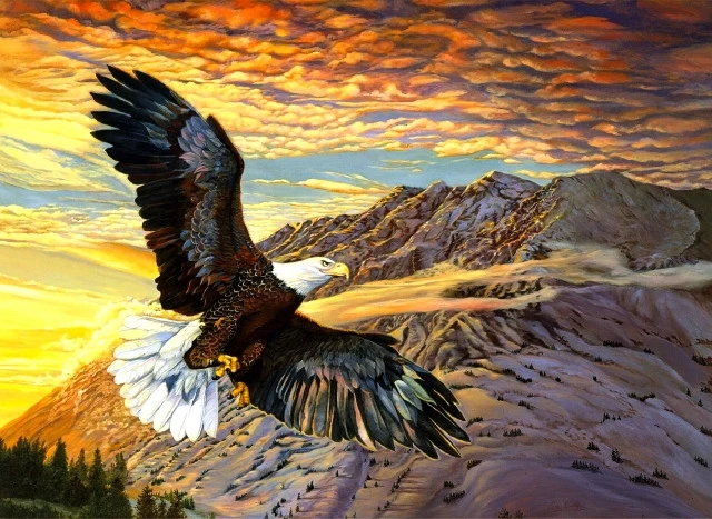 NEW DIY 3D Diamond Painting Eagle The sky Soar Tenacity Mosaic