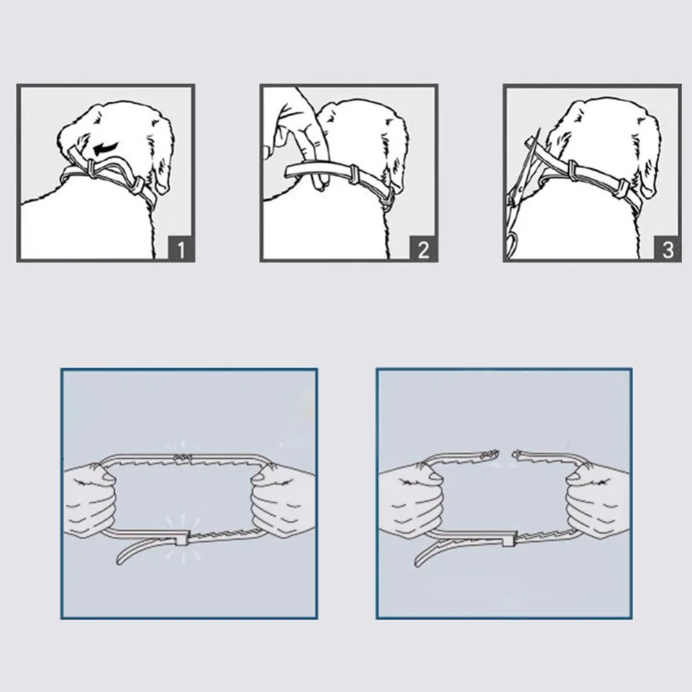 301835_no-logo_301837-3-02-p