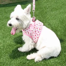 Sweet Strawberry Pet Dog Collar With Leads Harness Cat Collar Accessory Puppy Clothes for Small & Meduimu Dog Cat Vest