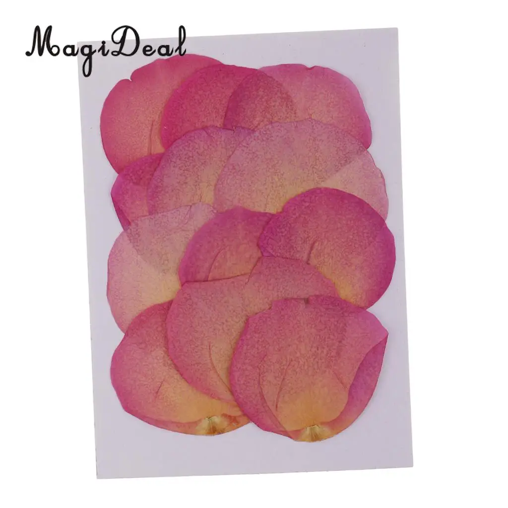 12 Pieces Pink Natural Real Dried Rose Flower Petals for DIY Wedding Christmas Card Making Phone Case Decoration