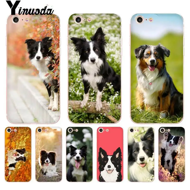 coque iphone 8 plus border collie coque iphone 8 plus border collie