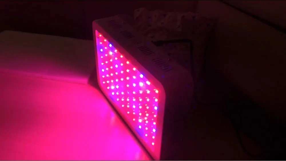 Полный спектр 300/600/800/900/1000/1200/1800/2000W LED Grow Light 410-730nm для комнатных растений и цветок парниковых расти палатку