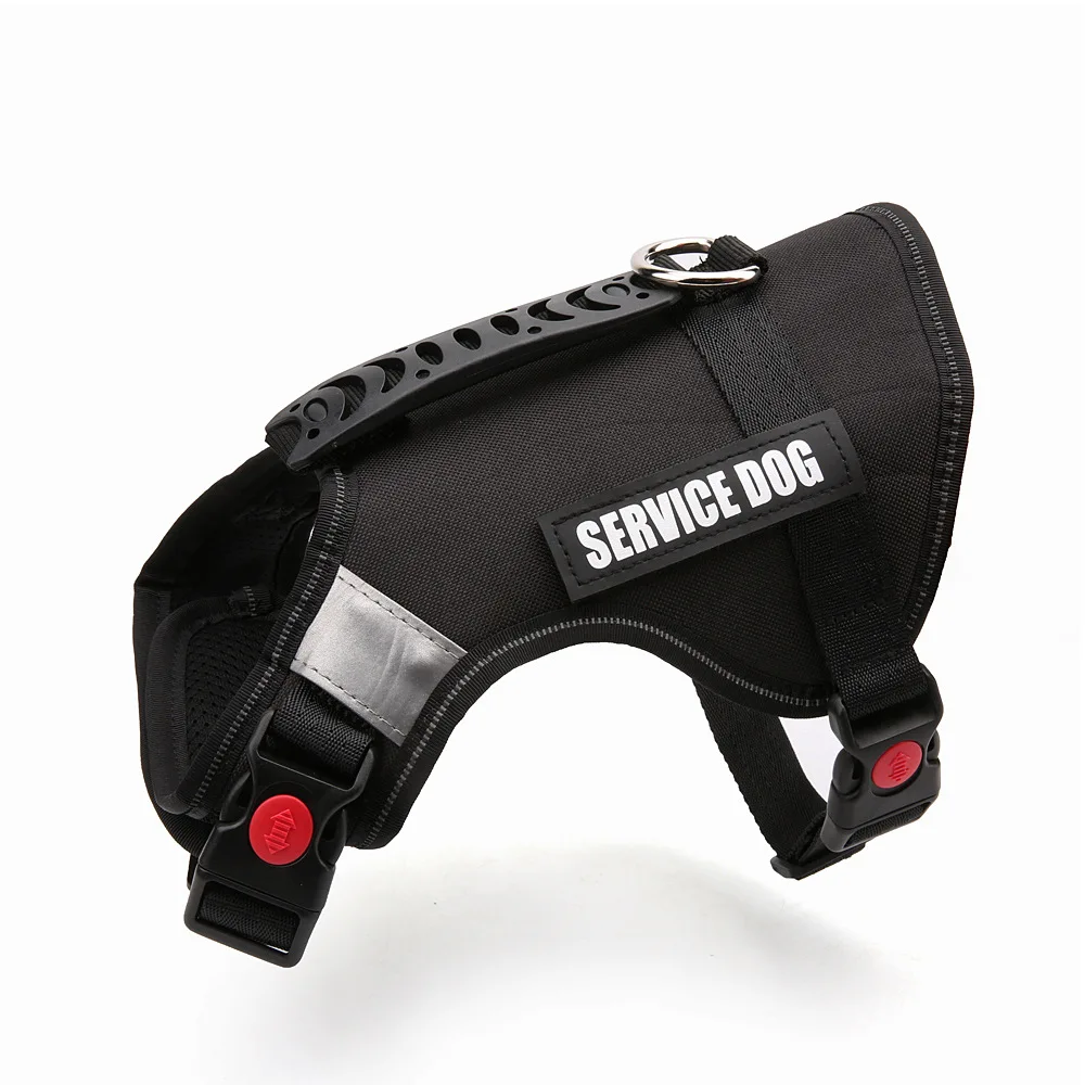 8662223351_287482797