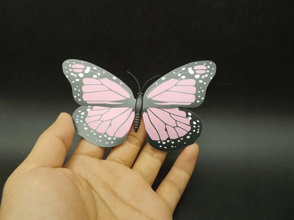 I242-Butterfly (1)