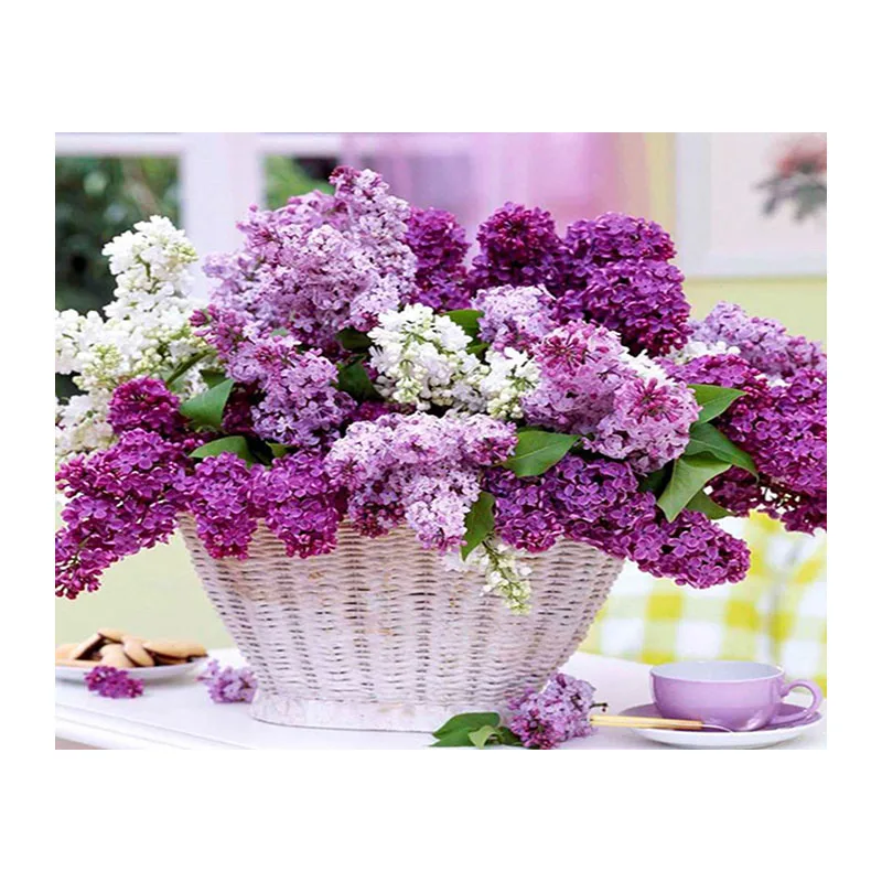 HTB1FW9PKbSYBuNjSspiq6xNzpXa6