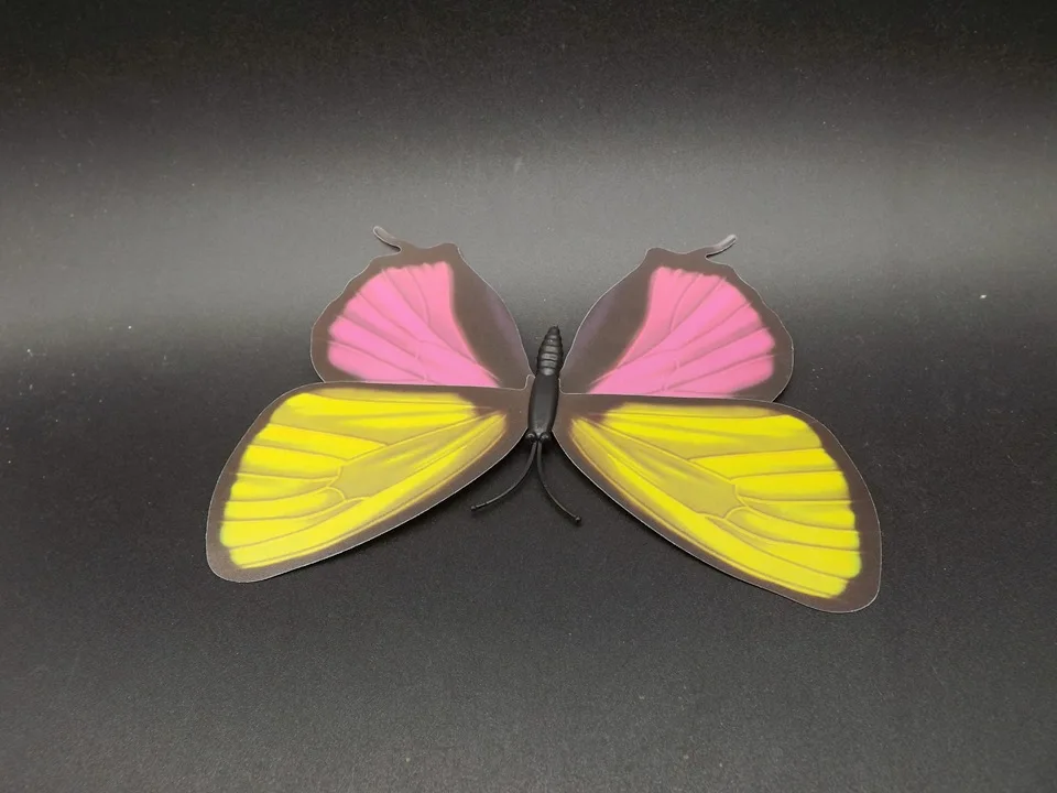 I236-Butterfly (7)