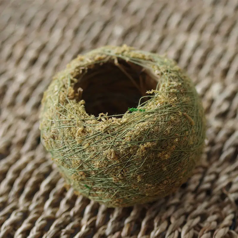 

Natural Moss Ball Green Sphagnum Moss Substrate House For Room Home Decor\t