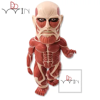 

DOWIN 14cm Q version orinigal Bertolt Hoover Attack on Titan Figure PVC Action Figure Collectible Model Toy -10