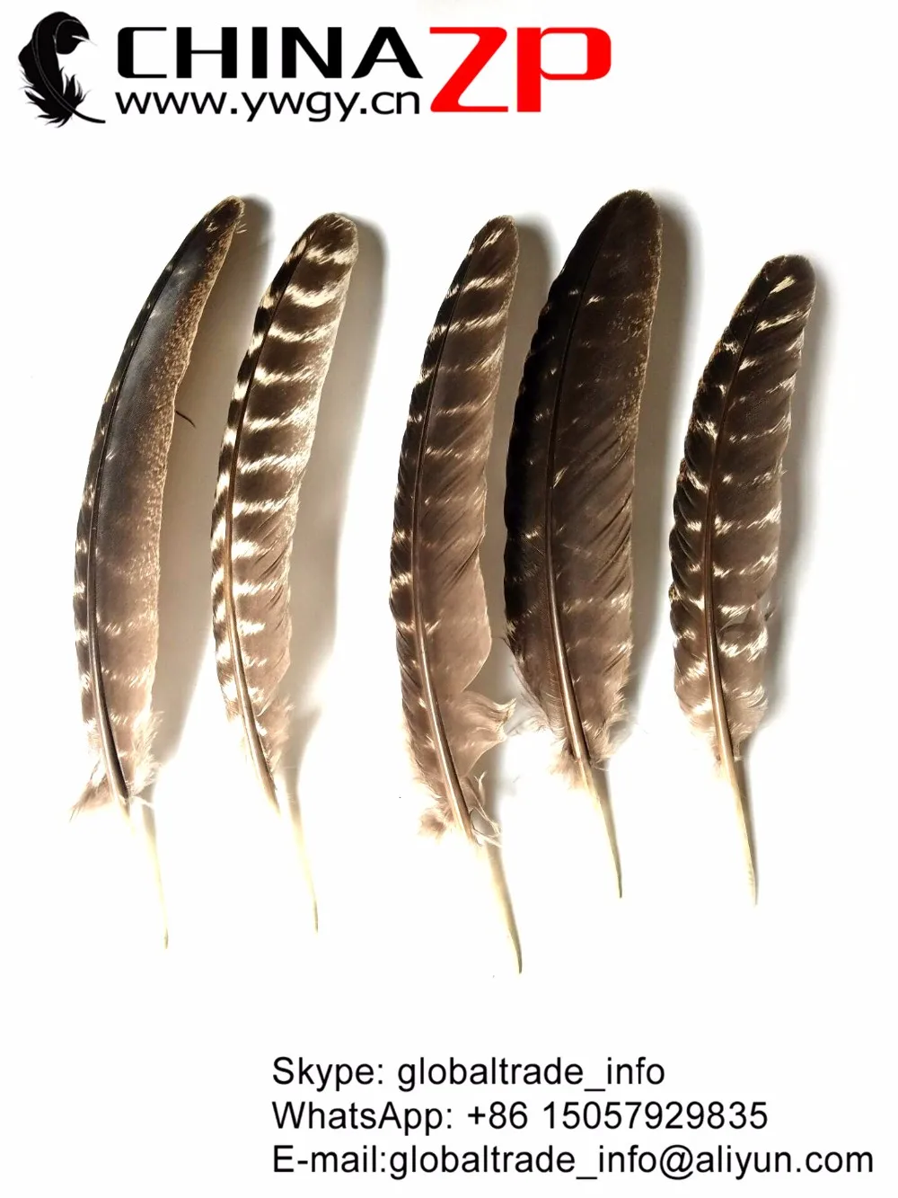 20-25cm (2)