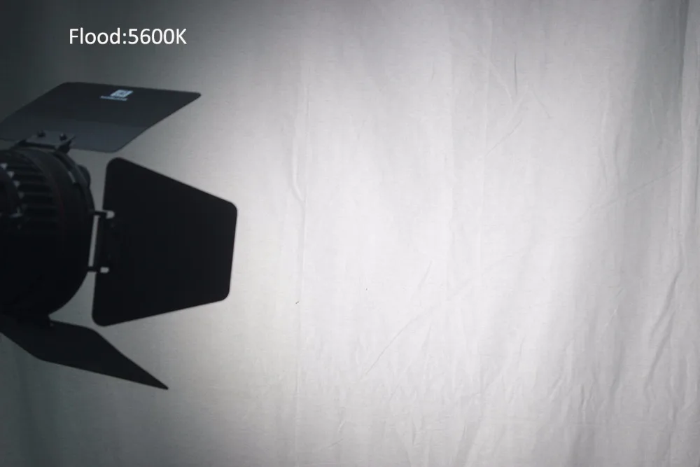 Flood 5600K