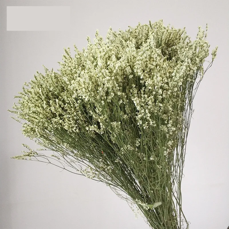 Preserved Fresh Dried Crystal Grass Branch For Wedding Home Party Holiday Decorate DIY Bouquet Project Accessory SAD71 (2)