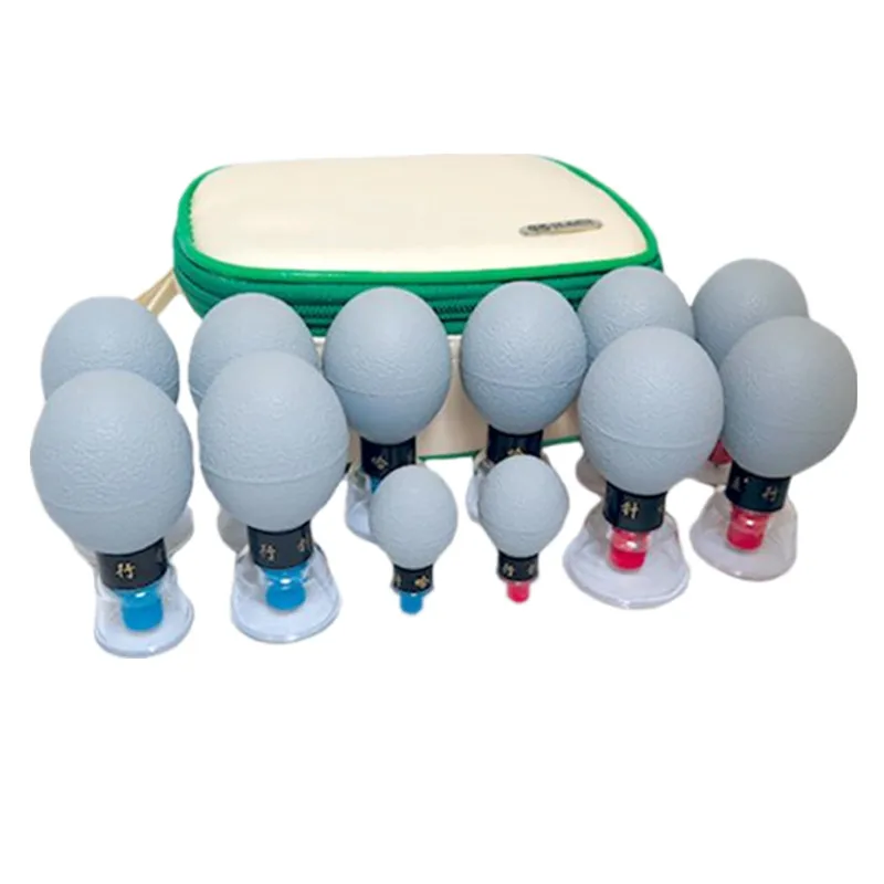 12pcs Vacuum Haci Magnetic Therapy Acupressure Suction Cup TCM acupuncture and moxibustion Cupping Set (1)