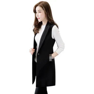 B1602 весенний и осенний период без рукавов Новая Южнокорейская версия женский модный жилет дешевая - Цвет: Черный