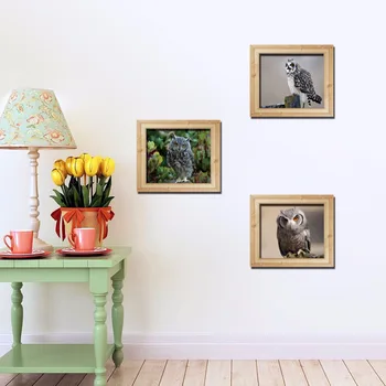 

AY002 Envelope Version 3D Effect Fake Photo Frame Owl Triptych Personality Creative Stickers