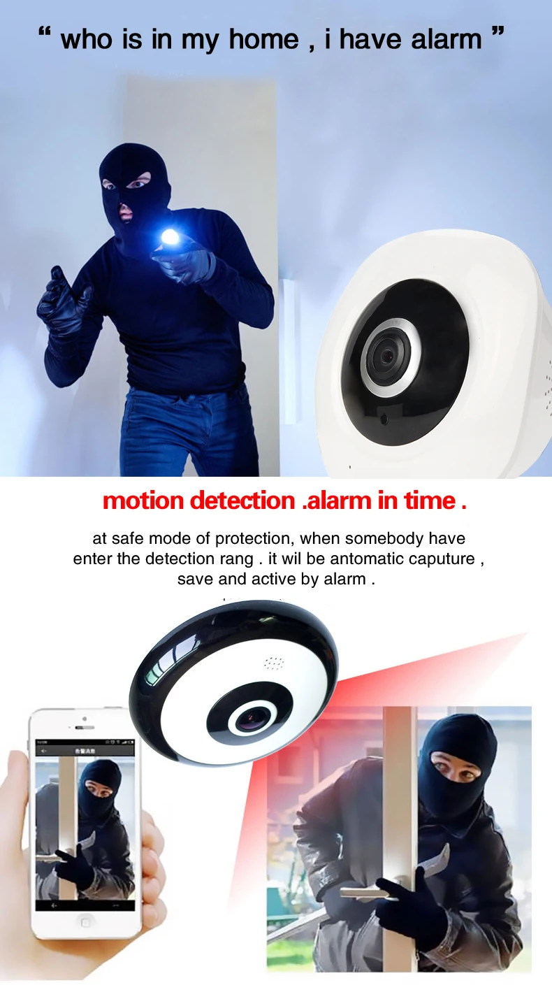 IP Camera 2-1
