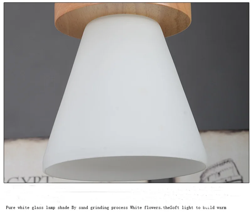 pendant lamp 5