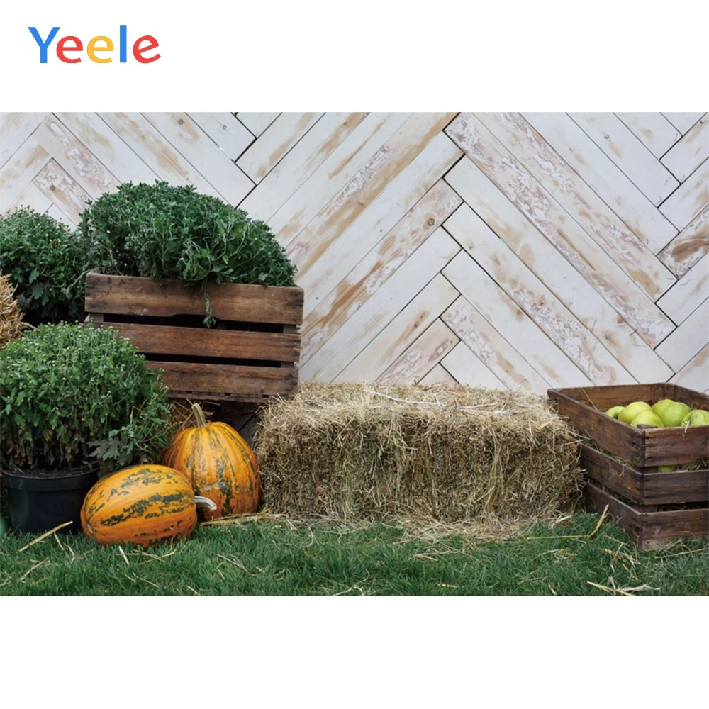

Yeele Wallpaper Board Pumpkin Vegetable Wheat straw Photography Backdrops Personalized Photographic Backgrounds For Photo Studio