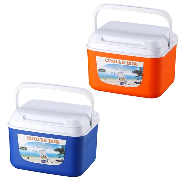 Refrigerador portátil para coche, nevera pequeña para acampar al aire  libre, 5/6L, para viaje en coche, Camping, pesca, comida - AliExpress