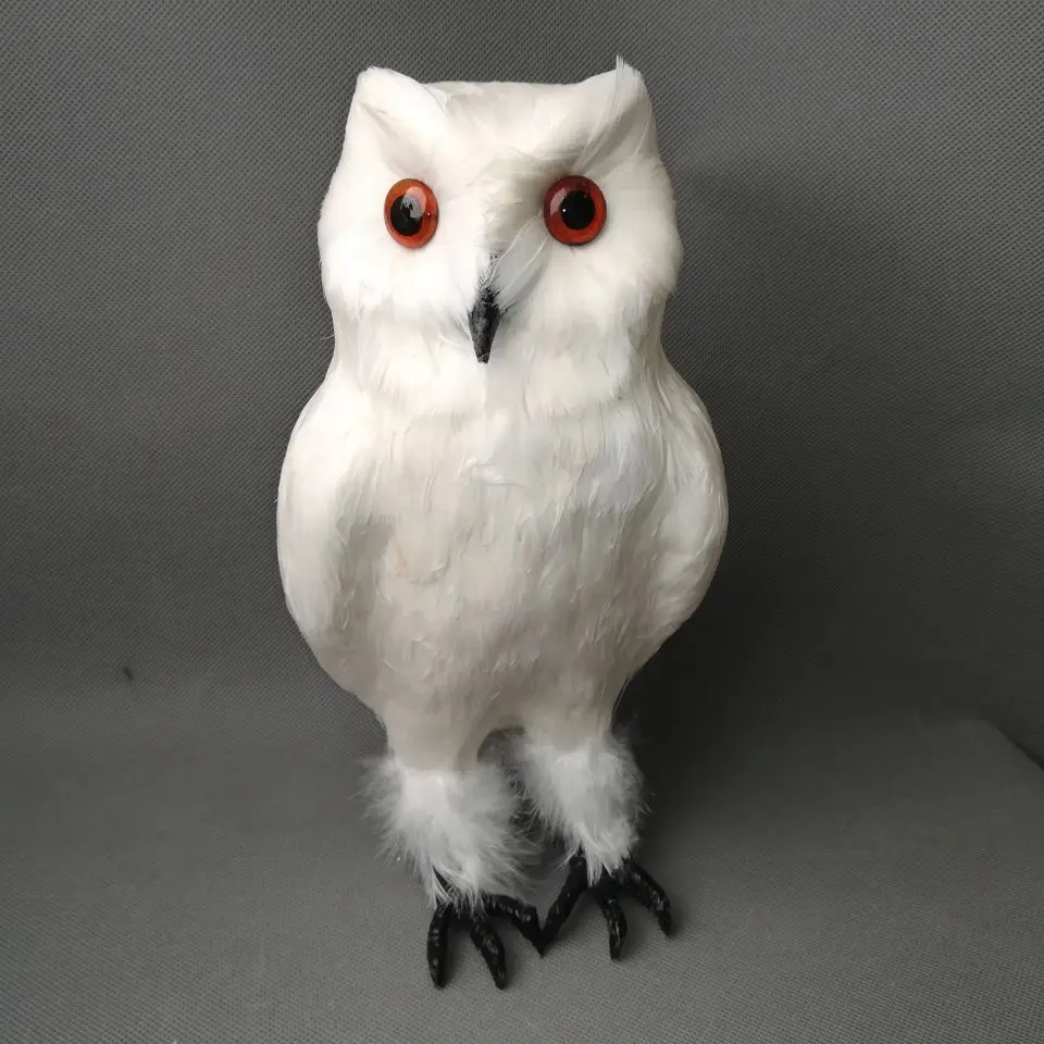 62+ Gambar Foto Burung Hantu HD