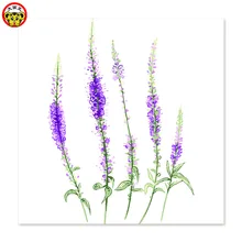 Картина по номерам художественная краска по номерам фиолетовая Милая Лаванда Сделай Сам масляная Лаванда