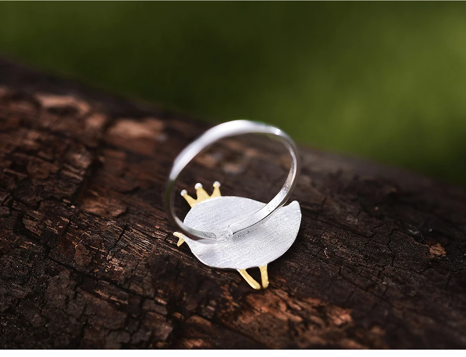LFJD0085-Lovely-Princess-Bird_06