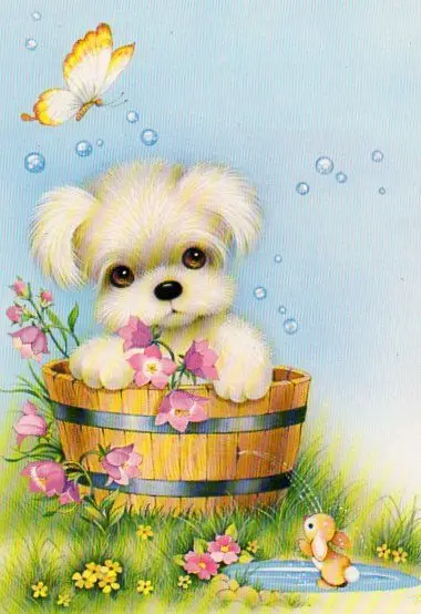 0dfc9195eaff31f4655ae12c4bec9b41--dog-bathing-lenticular