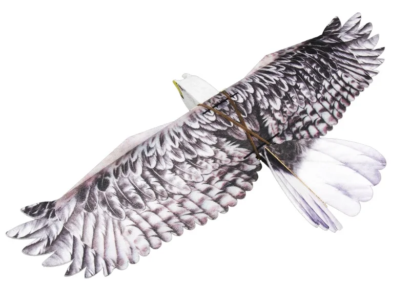 RC Plane EPP Airplane Model Mini Eagle RC Wingspan 1200mm Eagle EPP Slow Flyer