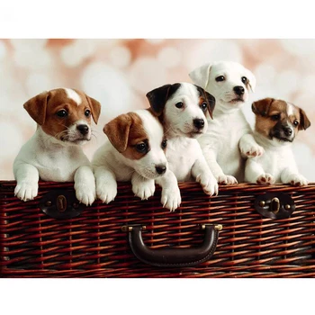 

Diamond painting cute dog diamond mosaic jack russel puppies Full square round Cross Stitch,5D rhinestones painting,drill Mosaic