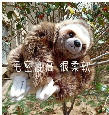 

Free shipping new arrival 25cm Three Toed Sloth Real Life Plush Stuffed Animal Folivora Toy for children family gift