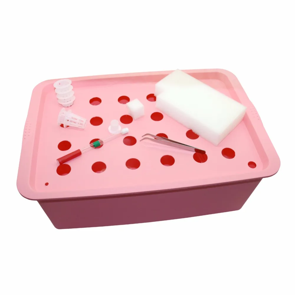 1 set 24 Holes Plant Site Hydroponic System Soilless nursery pots cultivation plant seedling Grow Kit Indoor Garden box 1 set 24 Holes Plant Site Hydroponic System Soilless nursery pots cultivation plant seedling Grow Kit Indoor Garden box