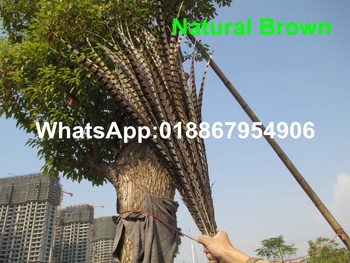 

Free shipping 50pcs 30-35inch 80-90cm Dyeing copper chicken side tail Natural Pheasant Tail Feather