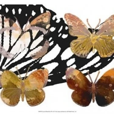 Layered Butterflies III Poster Print by Sisa Jasper (19 x 13)