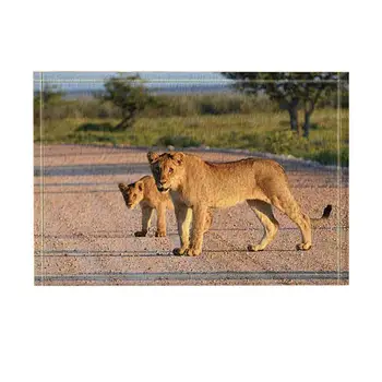 

Safari Decor, King of the Forest Lions Stand on Road Wild Animals Bath Rugs, Non-Slip Funny Indoor Outdoor Doormat