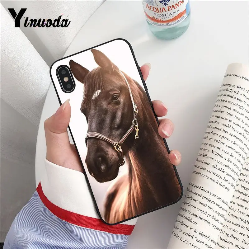 Animal Horse