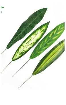 dianxiaobao