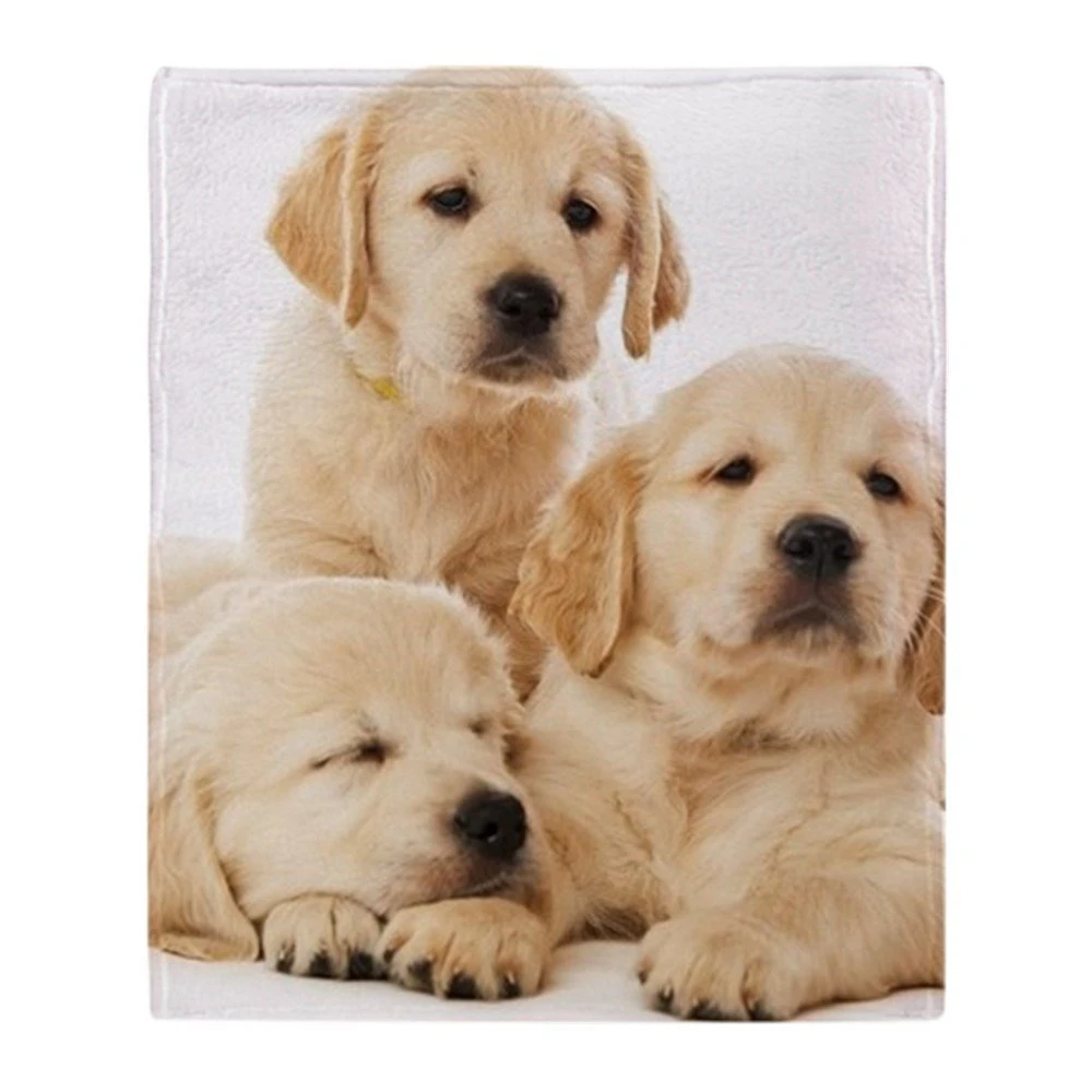 Golden Retriever Puppies Soft Fleece Throw Blanket Air Sofa Bedding Soft Winter Bedsheet Fleece Throw Blankets Throw Blanketfleece Throw Aliexpress