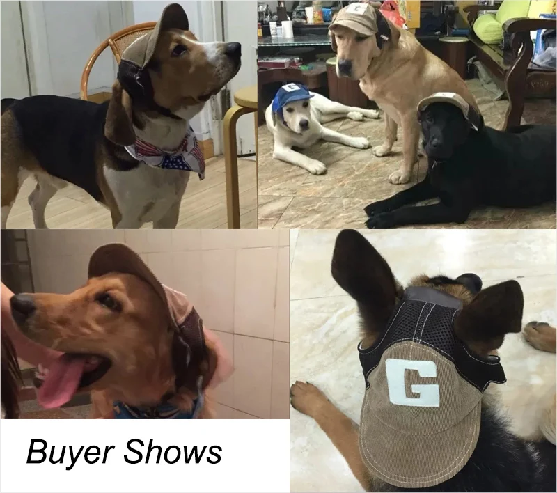 Buyer show