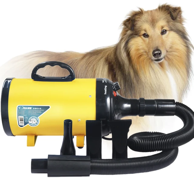 220V/2200W Professional Pet Hair Dryer Dog/Cat Grooming Hair Dryer